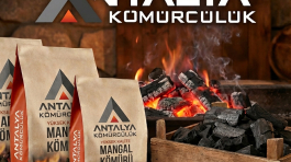 Mangal Kömürü