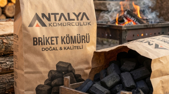 Briket kömürü